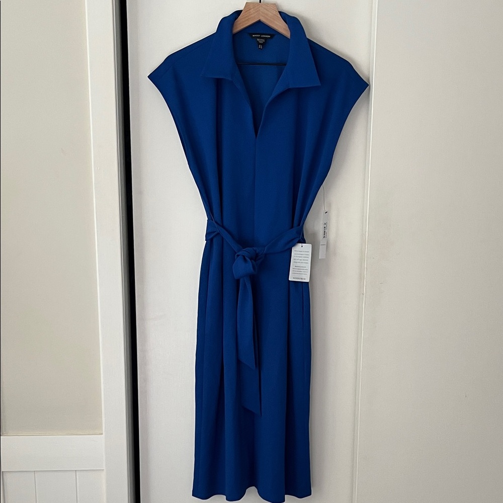 Maggy London Royal Blue Midi Dress - Picture 3 of 6